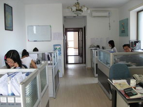 2019年小店区信息咨询服务公司办理价格与条件